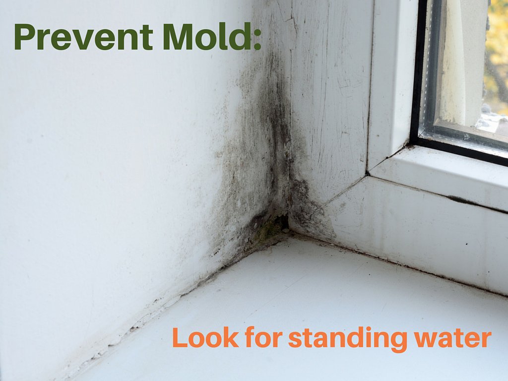 Servpro of Laurel (@servprolaurelmd) on Twitter photo 