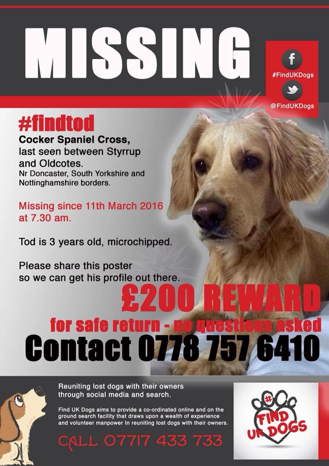 pawdogtraining's tweet photo. MISSING - #STYRRUP / #OLDCOTES - #DONCASTER - #NOTTINGHAMSHIRE
CONTACT - 07787576410 https://t.co/EGk9n6Exj8