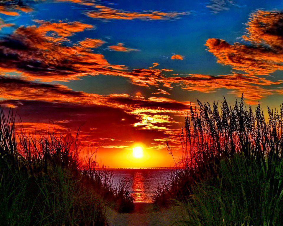 yvehughes's tweet image. In every walk with nature, you receive far more than you can see

- John Muir