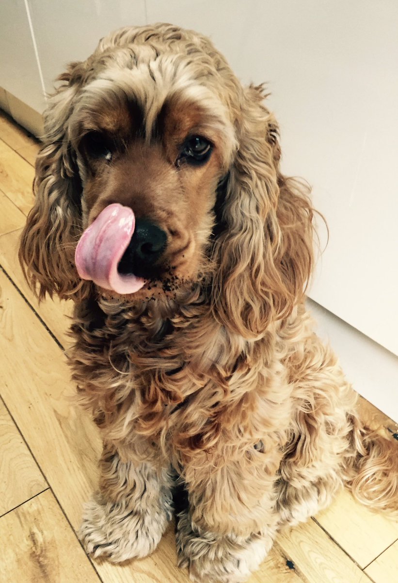 sherbert53's tweet photo. #publicanawards dogging in B-park https://t.co/N2P0zWFD67