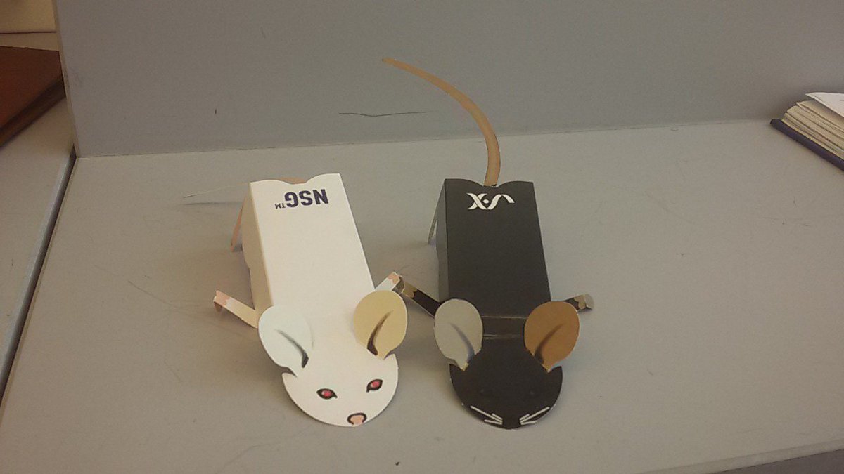 biologistzack's tweet photo. Received new shipment of mice today from #jaxlab https://t.co/ydyw9bUcu8