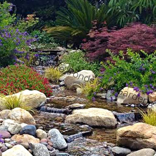 We design all our ponds and waterfalls after real natural landscapes.
exquisitepondsandgardens.org