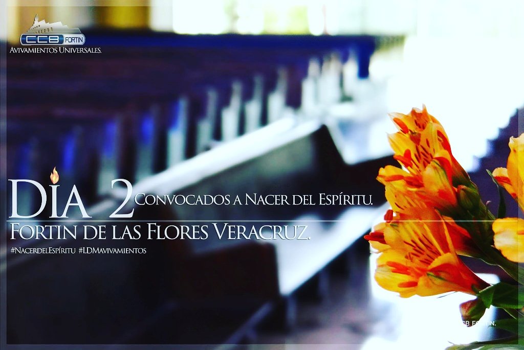 BereaVeracruz's tweet photo. #LDMavivamientos  #NacerdelEspiritu https://t.co/3yb4hxZRgG