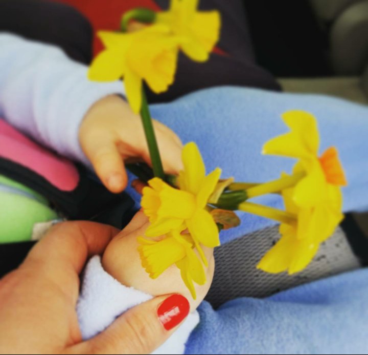 itscherrystone's tweet image. @CountryLife100 #springsnaps