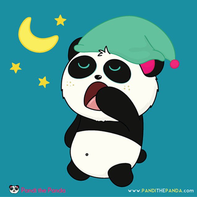 CheekyPandaHQ's tweet photo. Good night, world! #pandithepanda #panda #bear #pandibear #sleep #night #lol #bedtime https://t.co/ofblywobis