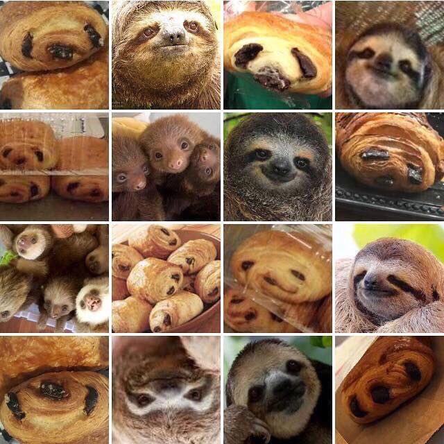 PlayInProg's tweet image. In case you needed a lil' happiness today. We sloth you!