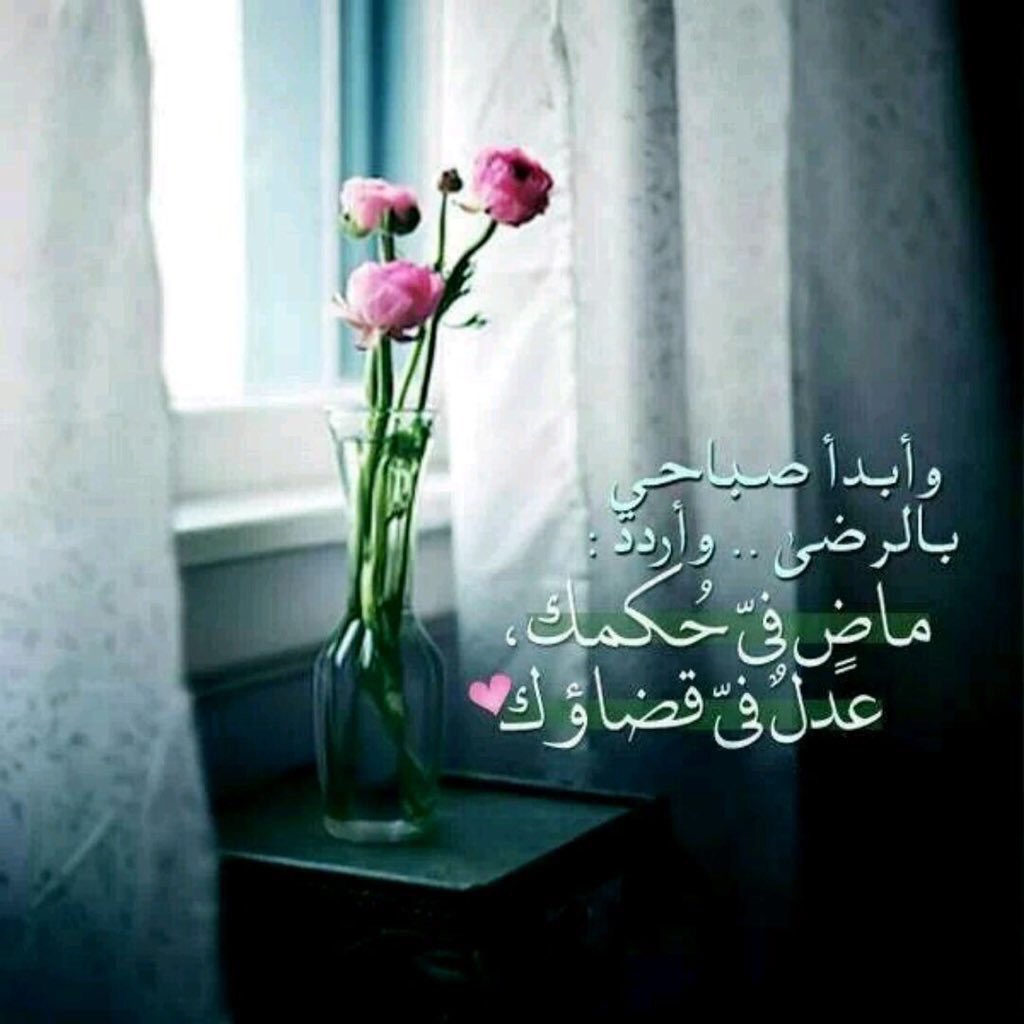 صباح الخير ♥️
   💭🌸ثُم إني على يقينٍ يزن الأرضَ و من عليها ؛ أنّي لا أهاب تفاصيلَ الحياة العسيرة و "الله معي.🌸💭