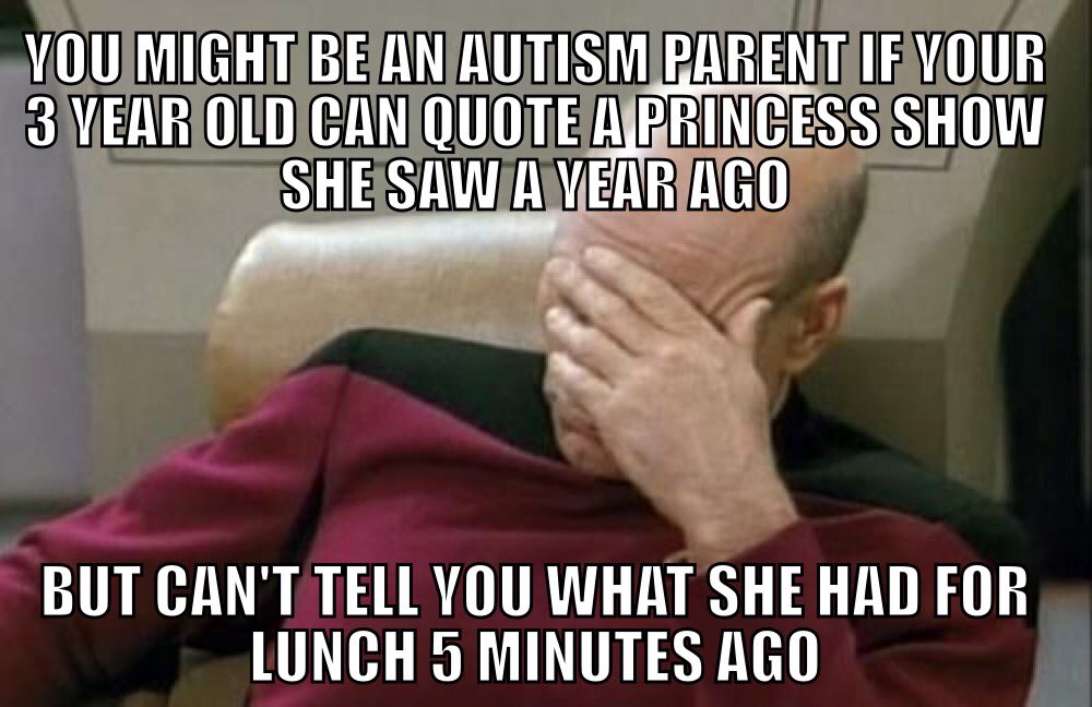 TheAutismBlog_'s tweet photo. We've perseverated on princesses for almost two years now. #autism #autismmeme #theautismblog.net #Lifewithautism https://t.co/E1QYq7FgQc