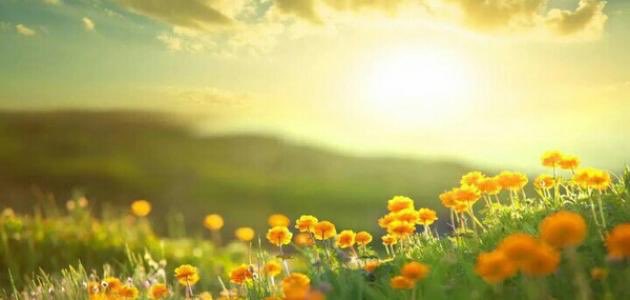 صباحي لا يحلو إلا بك..
بـ صوتك..
بـ تفاصيلك..
بـ قربك لقلبي..