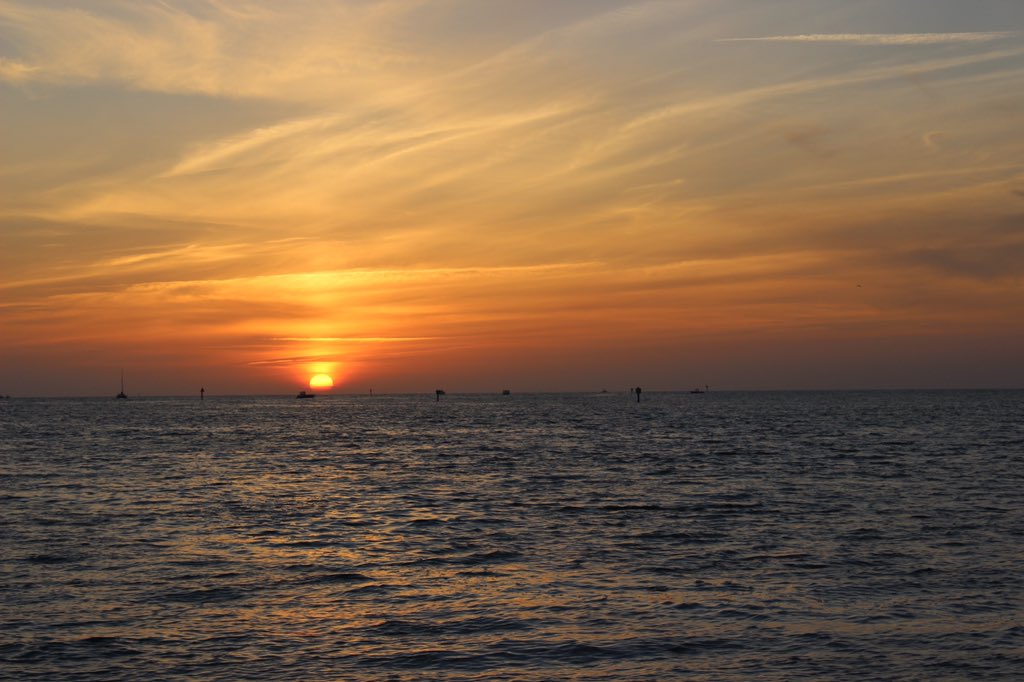 kaleekb's tweet photo. Nothing like sharing a Florida sunset with your best pals 🌅 https://t.co/AZ3rcjgJMZ
