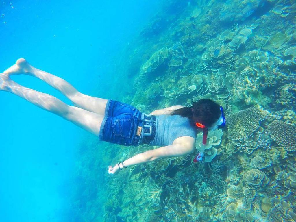 ParadiseCoveStt's tweet photo. aayupermata shares: Looking for mermaid ? 🙄
.
.
🐳 Lengkuas Island
.
.
#visitbabel #visitbelitung #visitbelitong #e… https://t.co/sc298lSU0W
