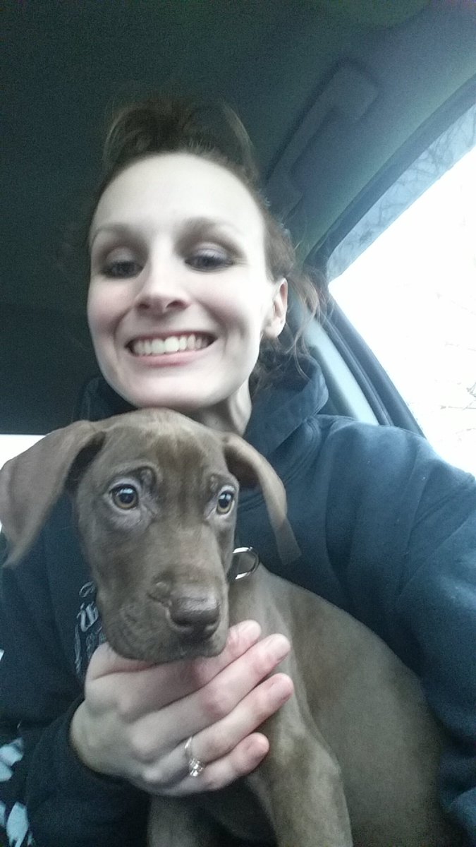 mag_124's tweet photo. My new puppy could be part of our class right?? #uakronwh https://t.co/xBJ9KpO58k