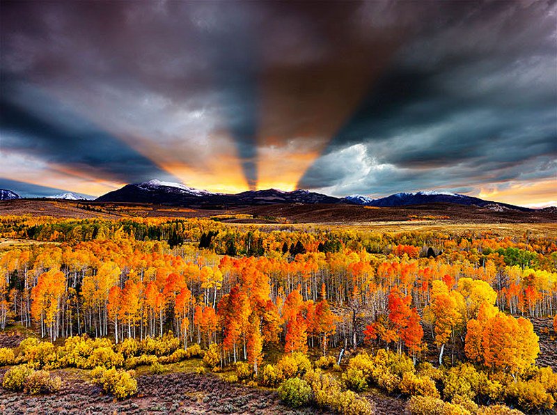 myall3000's tweet image. 