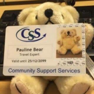 Pauline Bear Trust tweet media