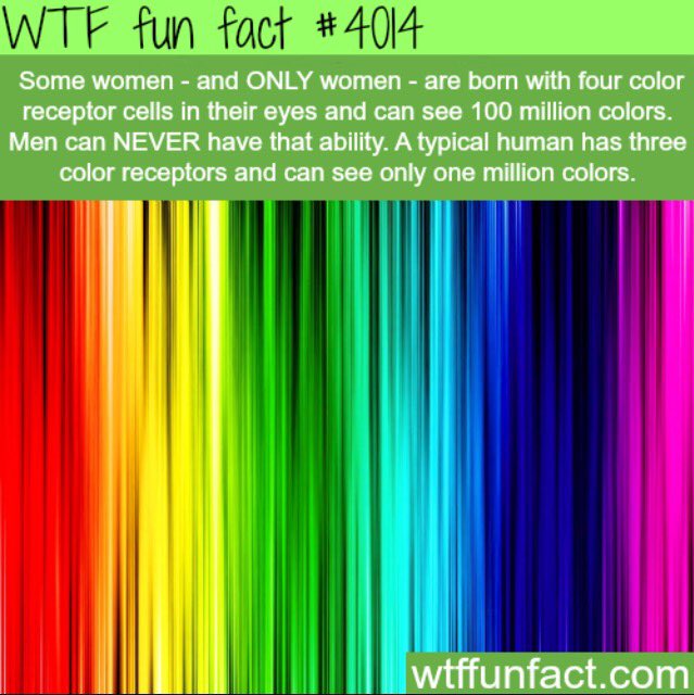 RFFDaily's tweet image. Whoa, that would be cool 🎨👁