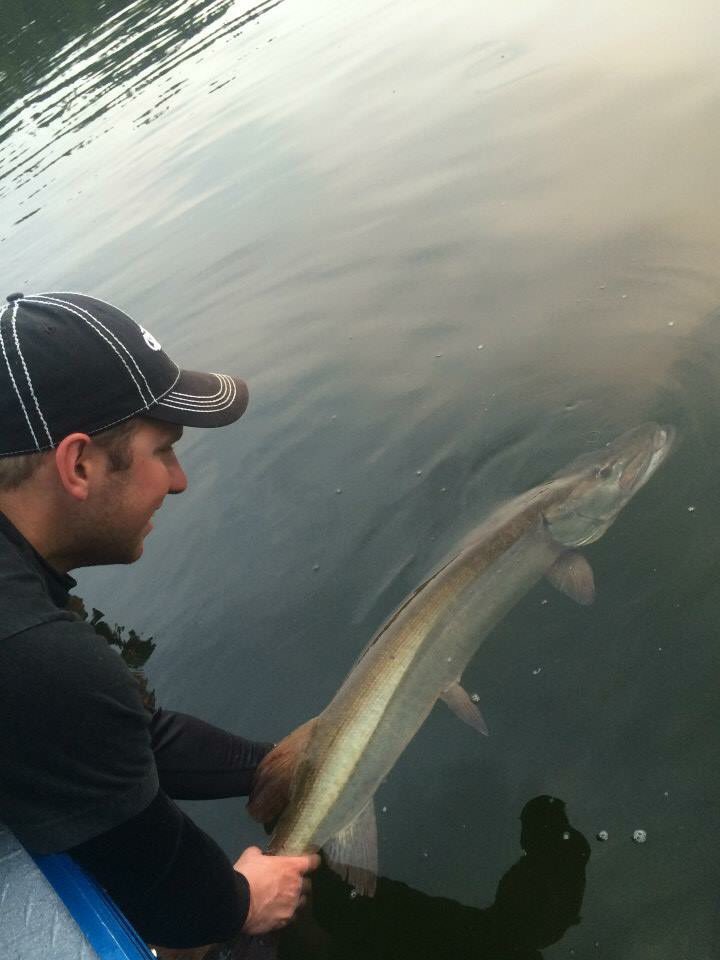 F_B_Adventures's tweet photo. Cool release picture from my trip to Canada this summer! #trophytuesday @AverageHunter #musky #fishing https://t.co/pS4CO3wHlS
