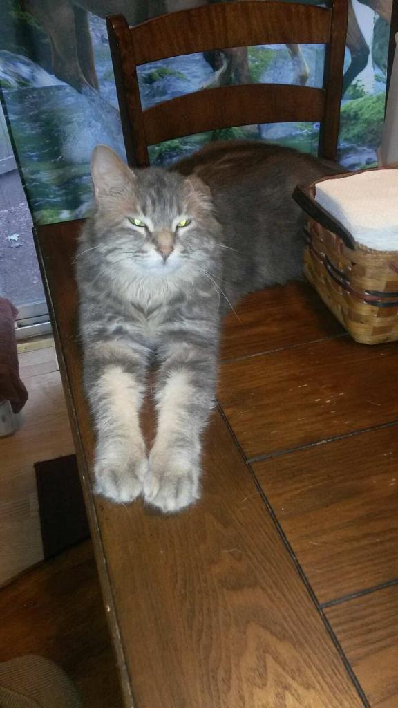 Laycee17's tweet image. Sup