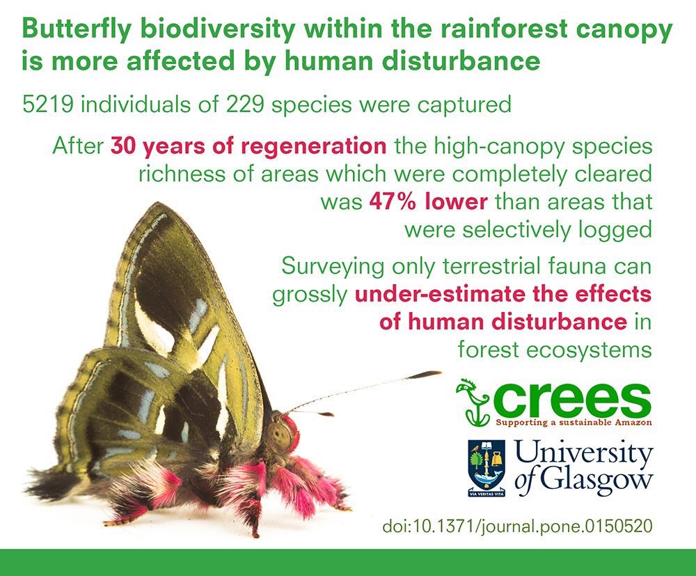 Results of sustainable use of regenerating forest on Biodiversity #Manubiospherereserve <a href="/UNESCO_MAB/">UNESCO Biodiversity</a> <a href="/creesfoundation/">Crees</a>