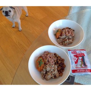 Joy_PhotoCam's tweet photo. Din din 🐶❤️ #dinner #dogfood #pug #doginthekitchen #よるごはん #わんこごはん #犬用 #パグ https://t.co/nJwPPAQilB https://t.co/P9ieenf4Sv