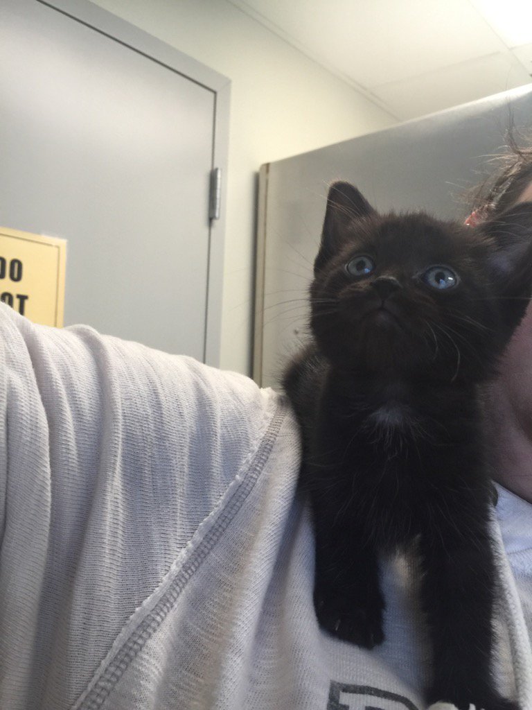 RoySilcott's tweet image. Can't believe it's been a year since we brought our baby home!