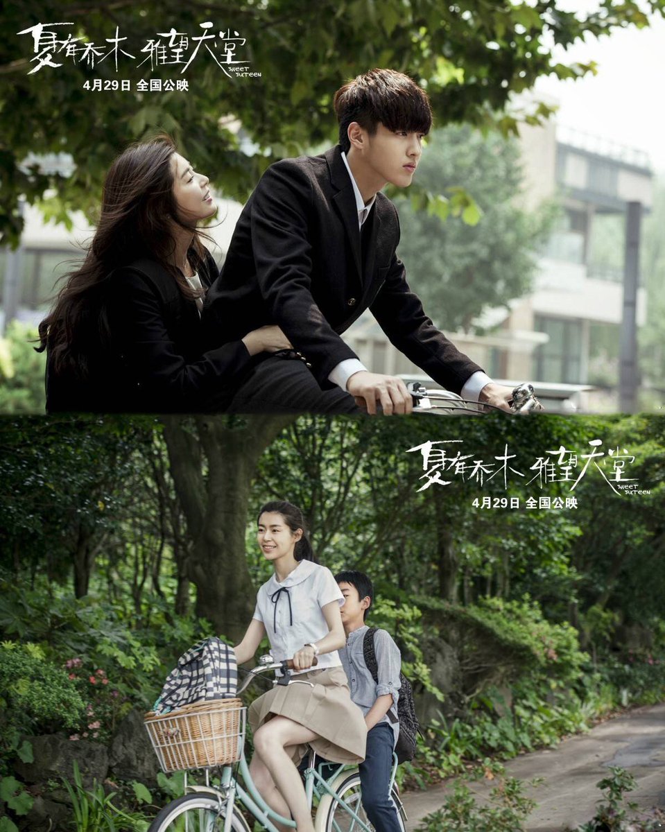 夏有乔木雅望天堂 Sweetsixteen429 Twitter