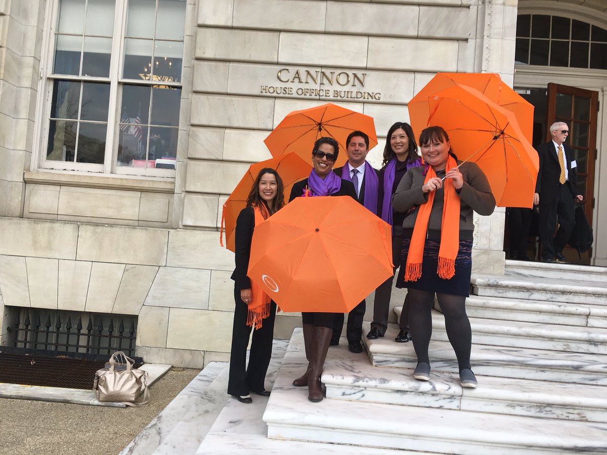 KathleenArntsen's tweet photo. Team @lfnc Rockin' it 4 @LupusResearch @Alliance4Lupus DC #advocacy day @kgmaeda_g #CuresNow #NIHFunding https://t.co/xpyhRvzbw8