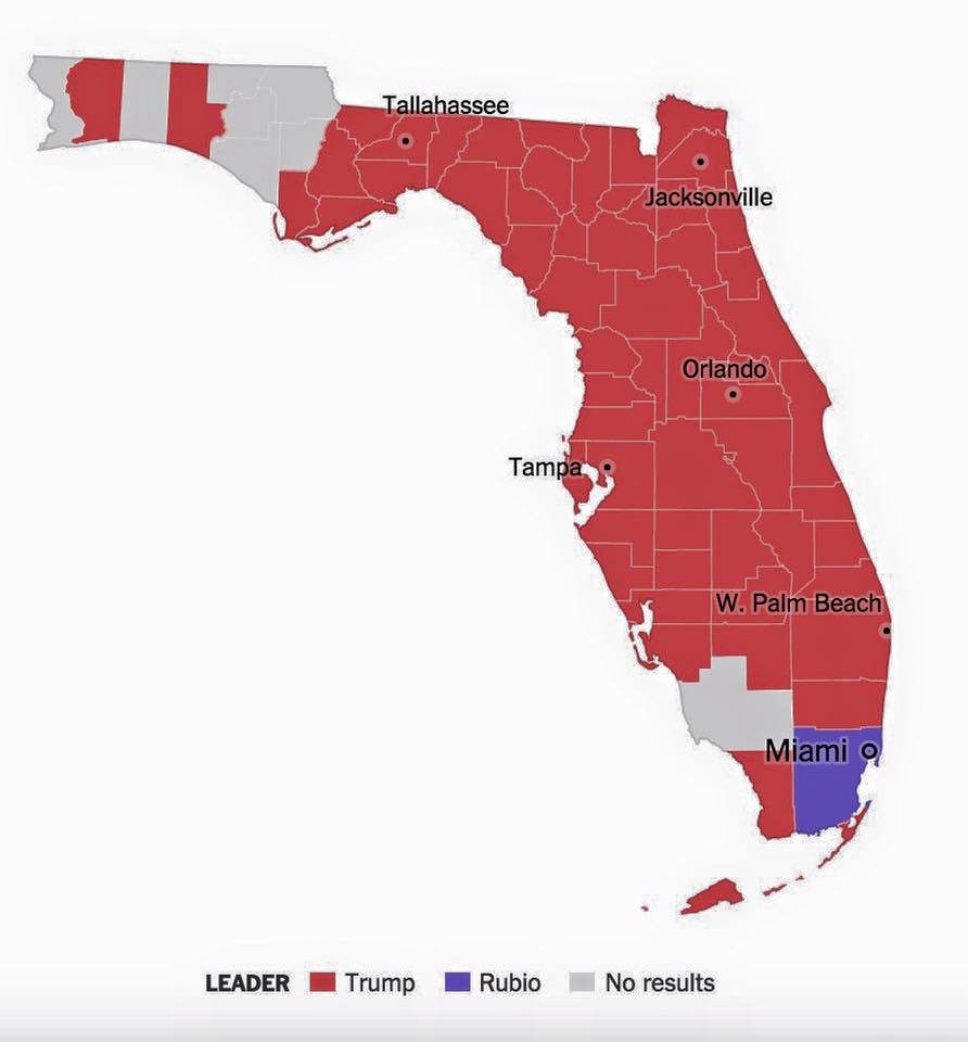Jack Tenney On Twitter: "My Home Of Florida Is Now The Laughing Stock Of  The Entire World… I Put My Head Down In Shame. Https://T.co/Q30Wifdj5X" /  Twitter Jack Tenney On Twitter: "My Home Of Florida Is Now The Laughing Stock Of  The Entire World… I Put My Head Down In Shame. Https://T.co/Q30Wifdj5X" /  Twitter