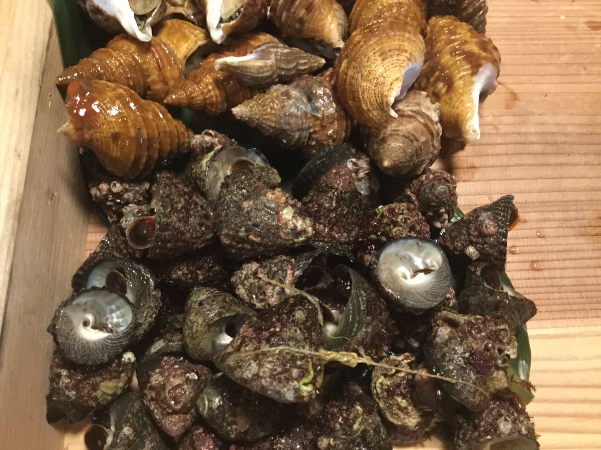 貝料理 吟 Twitterissa 本日 山口県産 しったか 北海道産 灯台つぶ貝 入荷致しました 煮て良し 茹でて良し 日本酒がすすみますね 数量限定の為 お早めにご来店ください 貝料理 居酒屋 日本酒 上野 T Co Td47qezf3o 貝料理 吟 Twitterissa 本日 山口県産 しったか 北海道産 灯台つぶ貝 入荷致しました 煮て良し 茹でて良し 日本酒がすすみますね 数量限定の為 お早めにご来店ください 貝料理 居酒屋 日本酒 上野 T Co Td47qezf3o