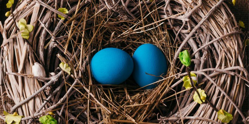 natural_mkt's tweet photo. Reflexionamos sobre #Twitter en este post: "Si el pajarito se plantea abandonar el nido…" https://t.co/a7Oq4Z6zfP https://t.co/xo5QQP4KMc