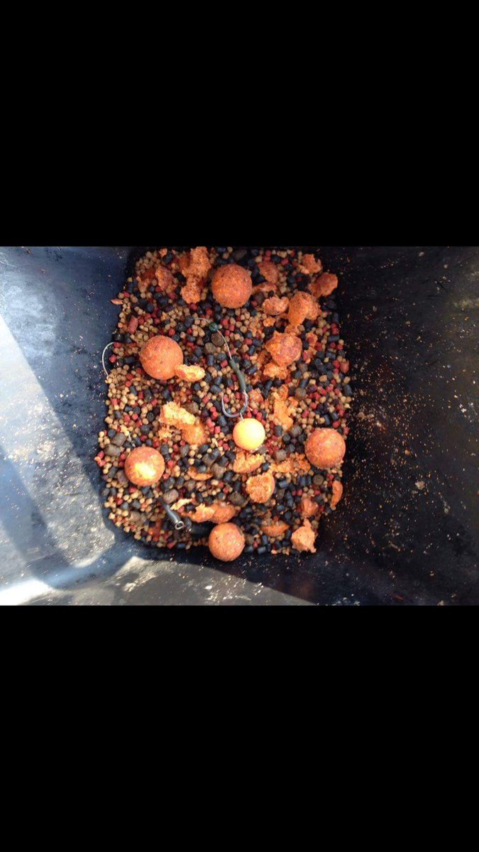 CoreBaits_uk's tweet photo. *France update*
Luke is absolutely smashing it this week,Super fruits &amp; micro pellets doing the damage #carpfishing🎣 https://t.co/66WWJpADYK