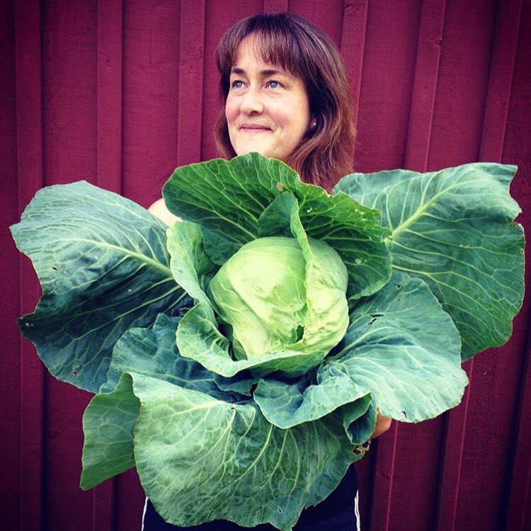 ProSecret's tweet image. Häng med ut i grönsakslandet! Anna-ny bloggare på PS: professionalsecrets.se/sv/ps/bloggar/… #matblogg #professionalsecrets