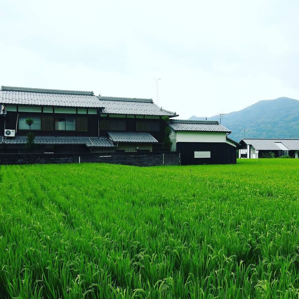InstaKyoto's tweet photo. Back to the country... #Japan #Travel #2016 #Exploration #Adventure #Photography #Assignme… https://t.co/0UUj33duxj https://t.co/YMqWocYnkj