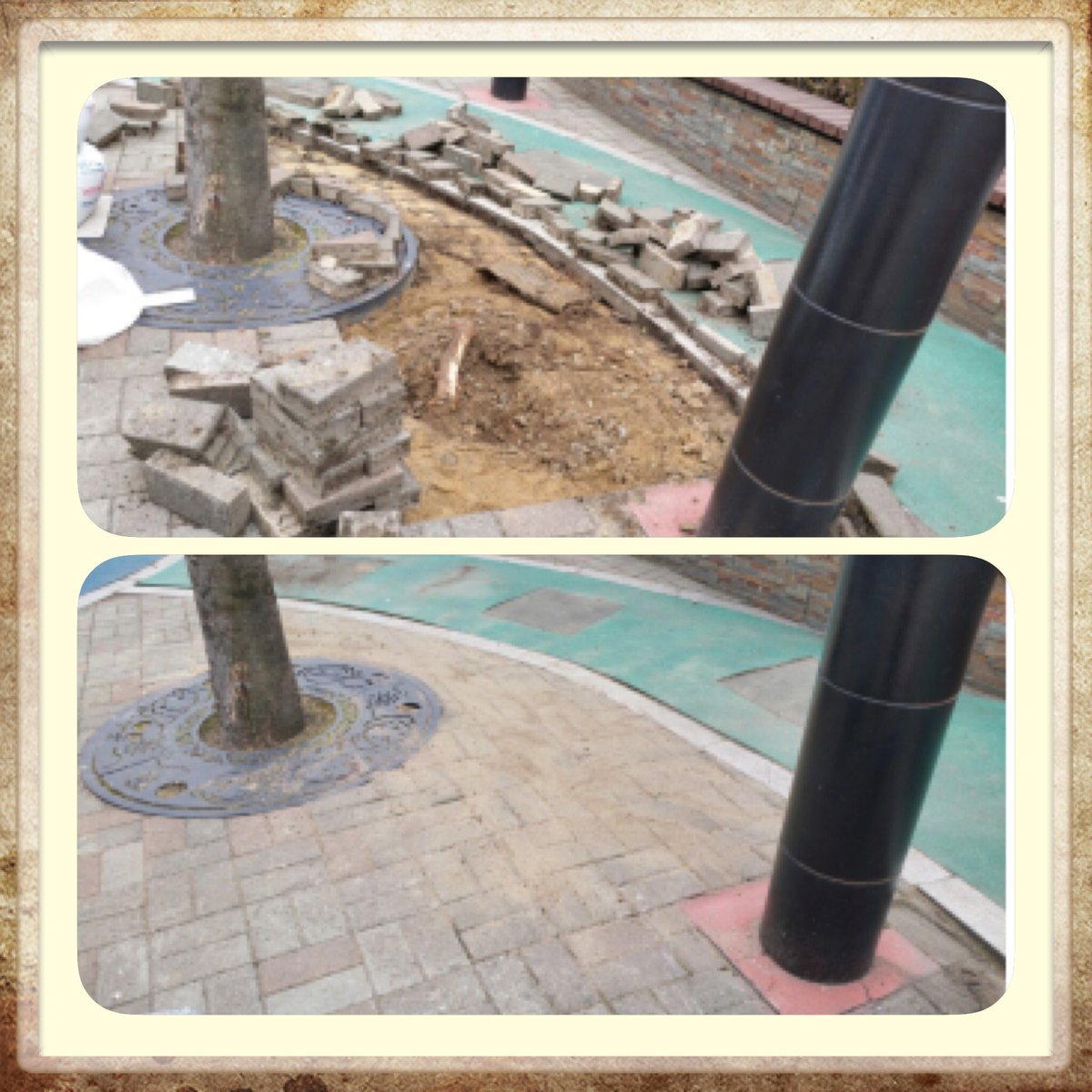 <양짓말 어린이놀이터>의 가로수 뿌리가 돌출되어 생육환경개선작업을 완료 했습니다. 우리 생활공간을 이롭게 채워주고 있는 만큼 나무의 생활환경 또한 안락하게! 인간과 자연 모두 더불어 사는 #성남시 입니다😊