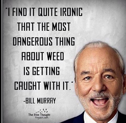 cannabisXLLED's tweet photo. Bill is always right!
#CannabisXLLED #GrowWithLED #IndoorGrow #GrowMarijuana #Weedlight #FullSpectrum #Ickysticky https://t.co/OdCFC50gcQ
