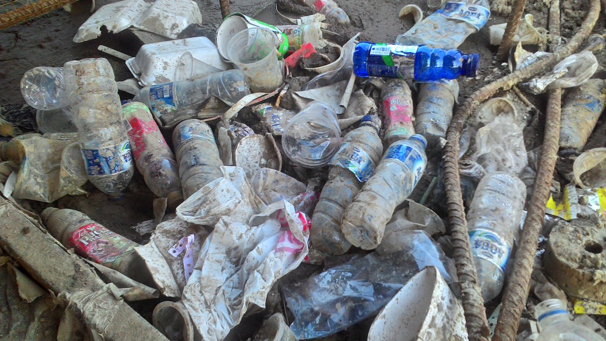 Kembalikan saja pada tmptnya,jgn prnh meninggalkannya dihutan atw membuang kdlm sungai,jika ign ngri ini ttp lestari