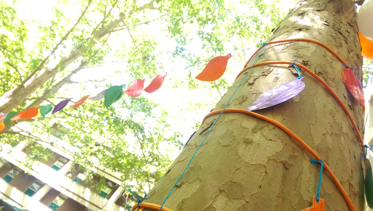 EBevanDavies's tweet photo. Our beautiful pledge trees,Flinders Medical Centre@FreerMary &amp;Belinda Moyes CEO inspirational speeches@ChangeDayAus https://t.co/34SDWW6JqC