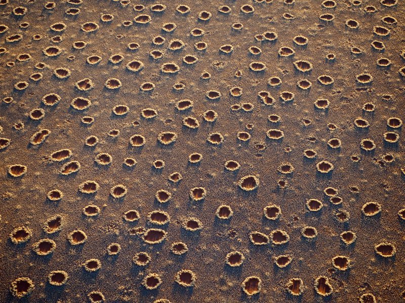 GratitudeDNA's tweet photo. @Attitudega ที่มา: digg / smithsonian

มีหลายทฤษฎีที่อธิบายการเกิด…แต่ที่เป็นไปได้มากสุดคือการแย่งน้ำของพืช https://t.co/8Xghd20VUw