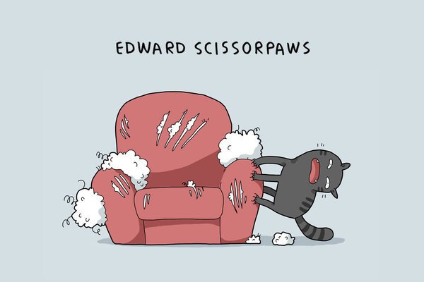purringtonpost's tweet photo. There Are 12 Types Of #Cats. Which Type Is Yours? ~ https://t.co/wAVAVcuICV https://t.co/6iPM5FeRzj