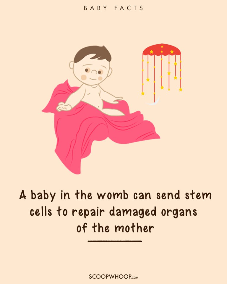 StemadeBiotech's tweet photo. SMS TEETH to 56767 to know more about the health benefits of dental stem cell preservation for your kids #StemCells https://t.co/pXVbWelzz3