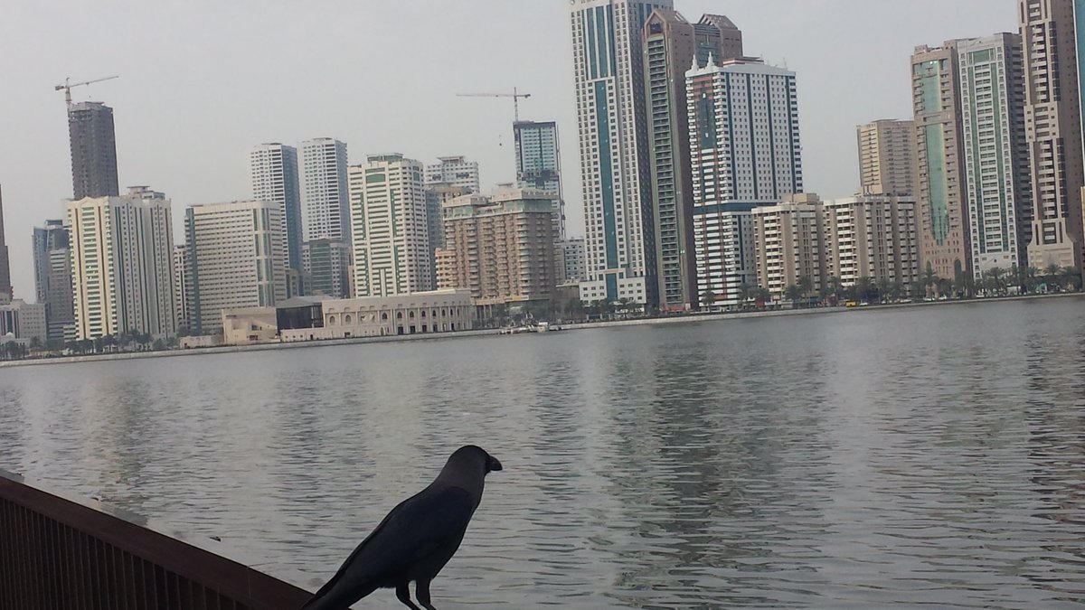 #صباحياتي  #صباح_العربية .. أسعد الله صباحكم بكل خير منورين ...