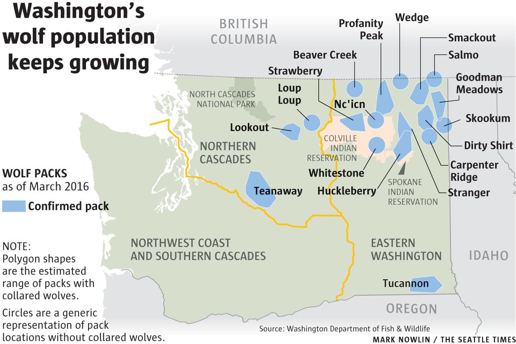 seattletimes's tweet photo. Wolves are thriving in Washington. Here's a nose count and other statistics: https://t.co/yfGb7EfJXo https://t.co/jr3djv09gV