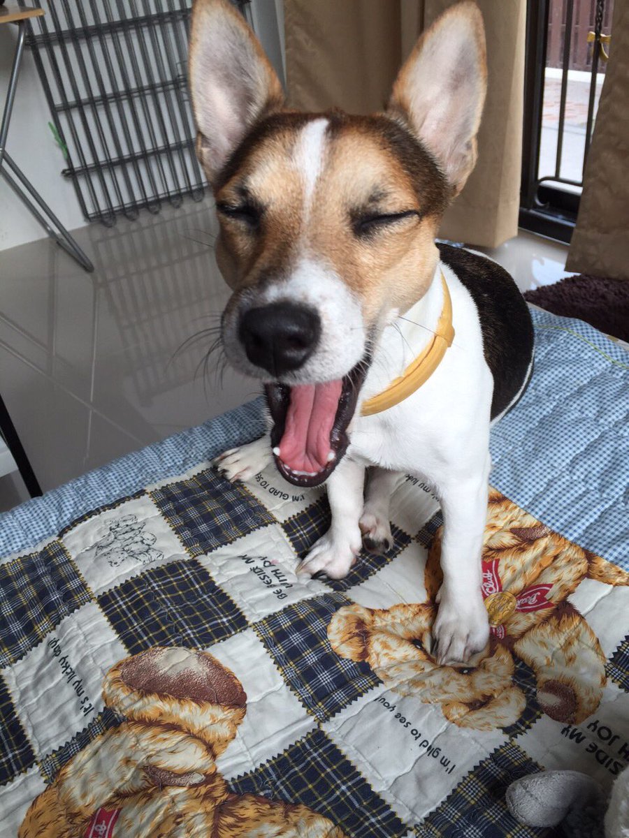 FreedomHappy91's tweet photo. ง่วงจังเรยค๊าบ https://t.co/VfUn3fMhh0