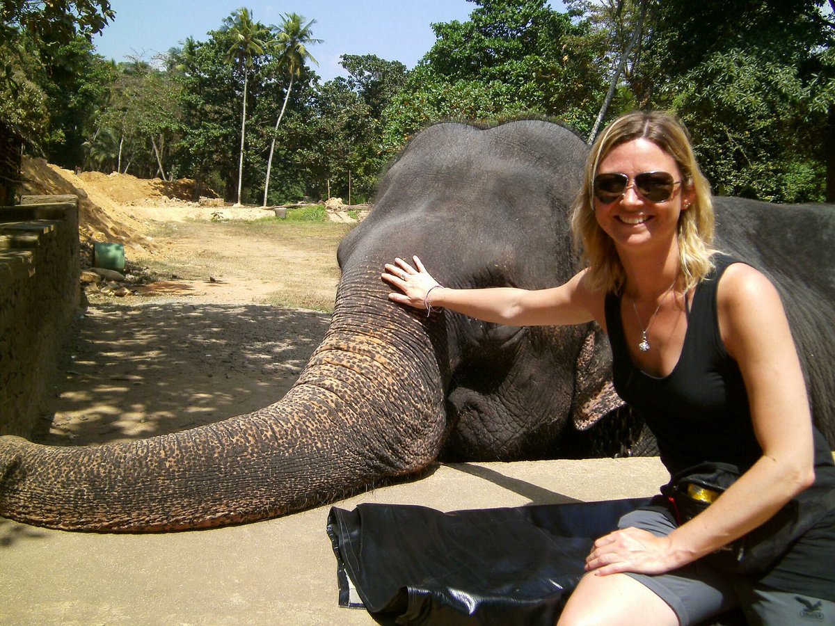 SLHolidayseu's tweet photo. Pineapple Garden &amp; Elephant Ride ,!! https://t.co/kZjE3BdImd