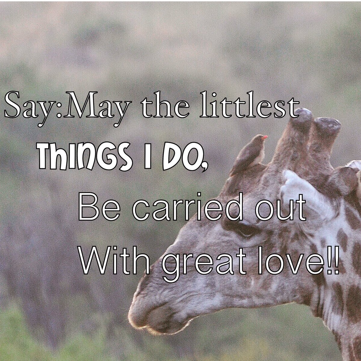 Nyretta Boshoff (@nyrettaboshoff) on Twitter photo 