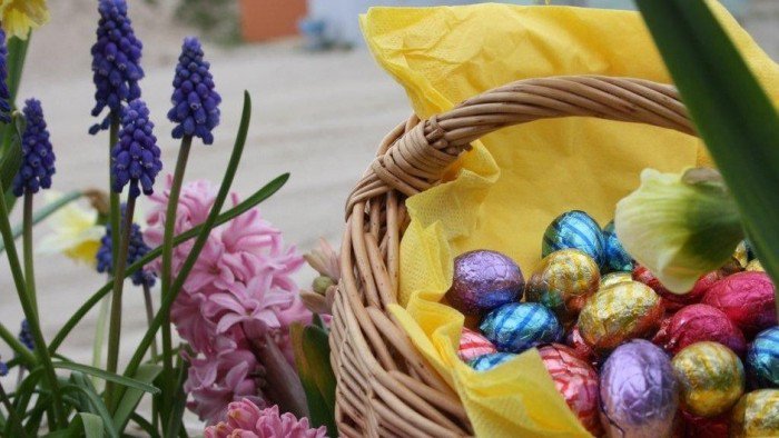 Al plannen voor het Paasweekend? #Westerwolde lees de nieuwsbrief 
westerwolde.groningen.nl/nieuwsbrief-to…