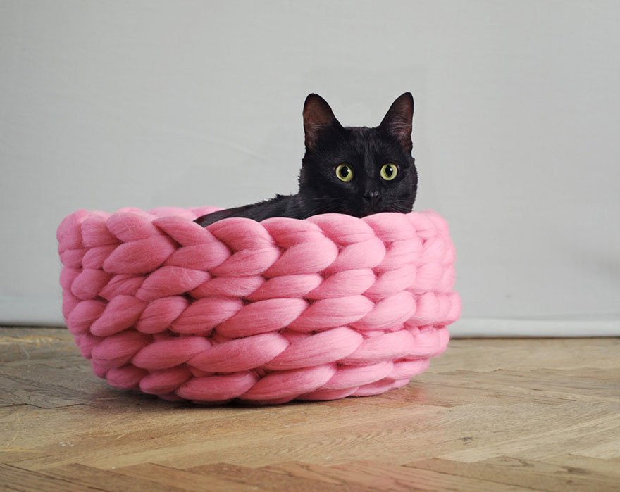 Stitched_Up16's tweet photo. We love giant knits #GiantKnits #Knitting #BlackCats https://t.co/1X7zZqxVqX