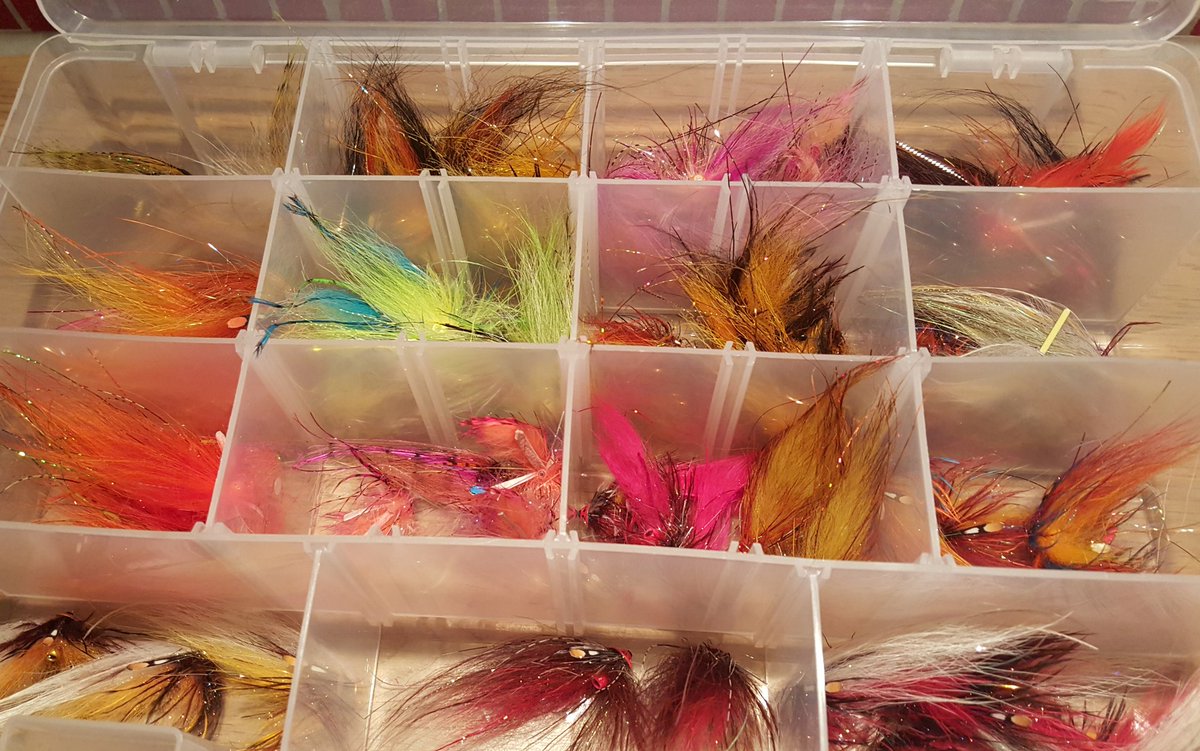 thspey's tweet image. Slowly its filling up fot the season!☺