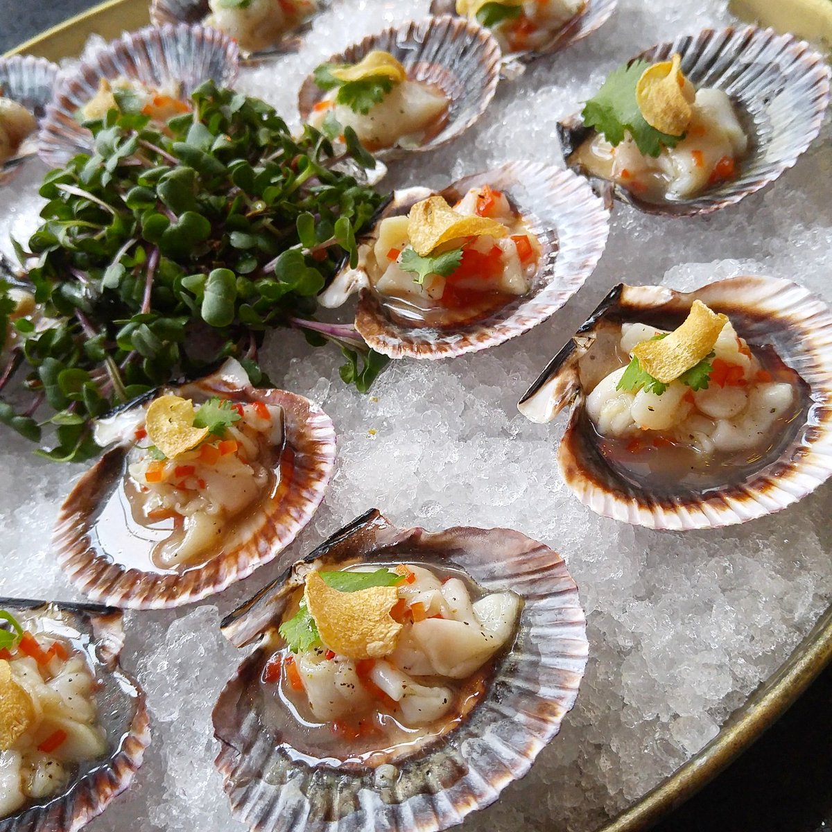 Had a few nibbles last night <a href="/cresta_TO/">cresta toronto</a>!