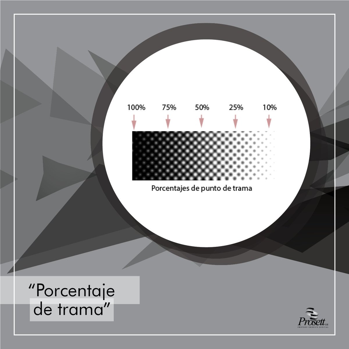 prosettc's tweet image. Se mide calculando el área de superficie posible que ocupan los puntos al variar su tamaño individual