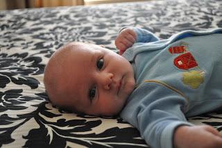 fabrey22's tweet photo. Abraham a month old . https://t.co/RPVHB2wRoy